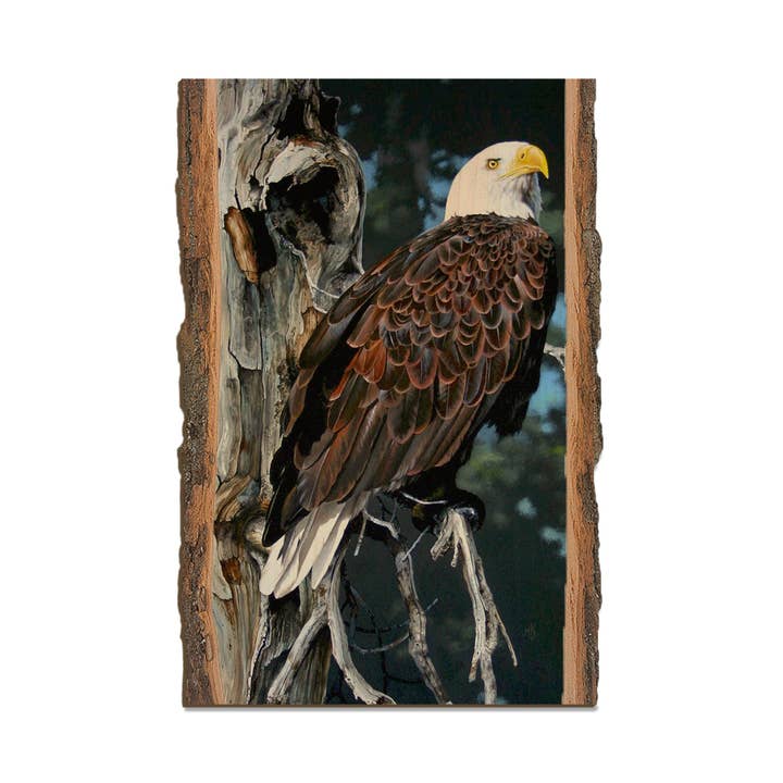 Kelso's Watch Tower - Live Edge for wholesale by DaydreamHQ