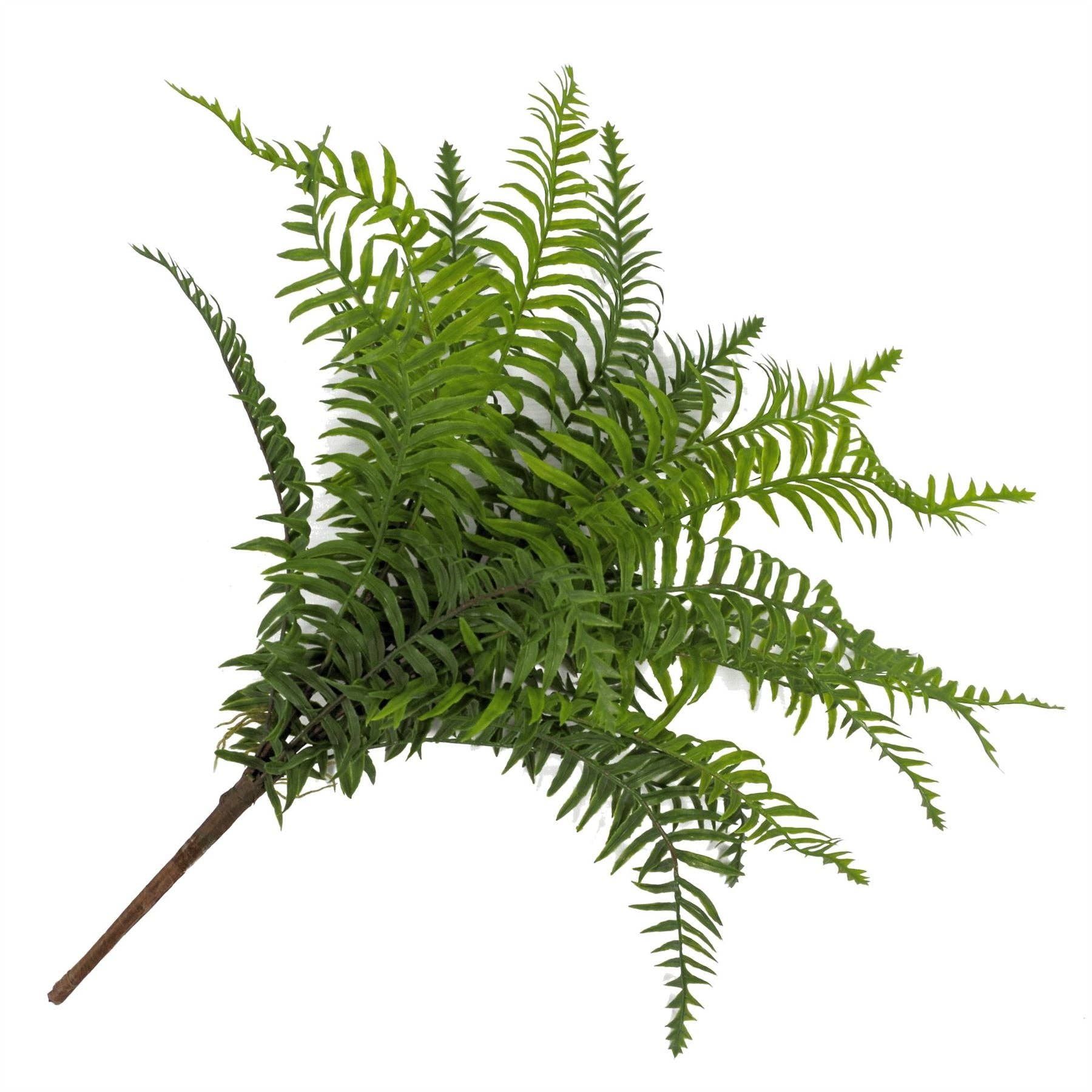 Leaf Design UK LTD – wholesale Artificial plant – Fern Plant Artificial Realistic 50cm Artificial Boston6