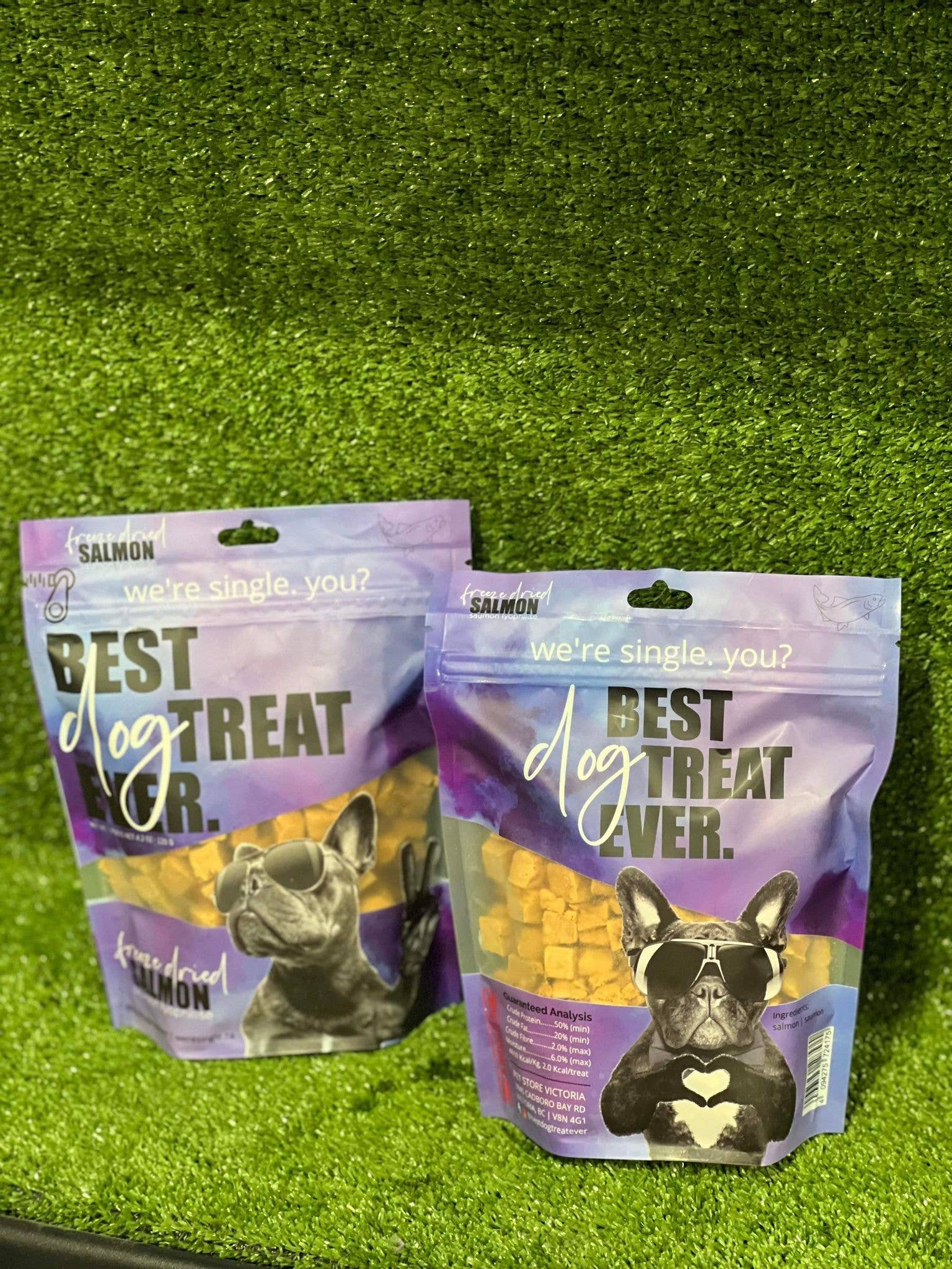 Best Dog Treat Ever - Wholesale Pet Treats - Dog - Freeze Dried Salmon (110g)1