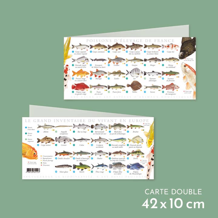 Gekweekte vis uit Frankrijk - Dubbele kaart voor wholesale door Longue-vue