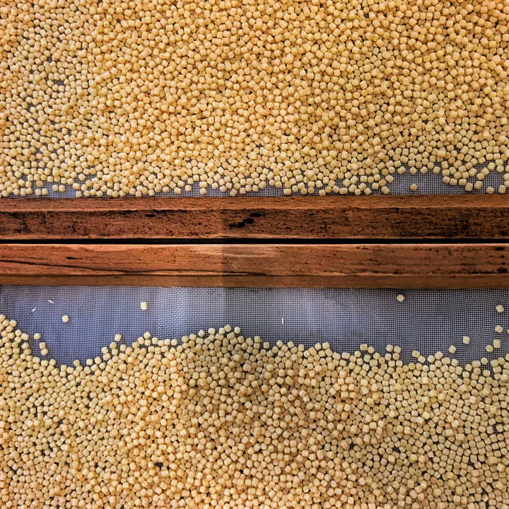 Favuzzi - Wholesale Pasta - Fregola