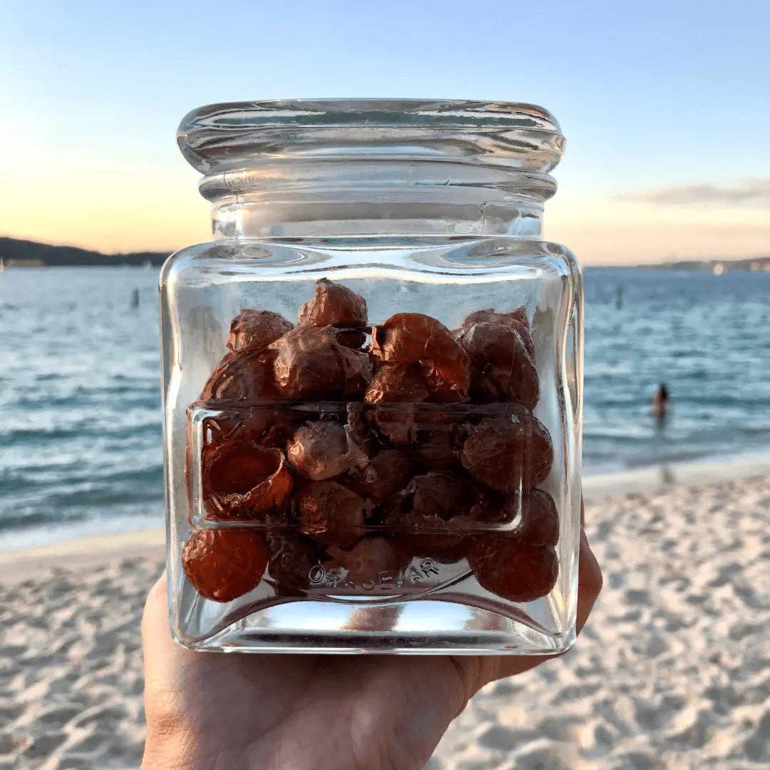 Us and The Earth - Vente Lessives en poudre/dosettes - Savon à lessive aux baies - 100 % à base de plantes - 250 g1