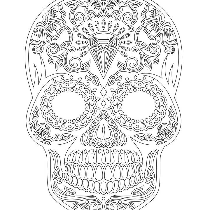 Blue Star Press - Wholesale Coloring & Activity Book - Adult - Dia De Los Muertos: Coloring Book Day of the Dead Halloween2