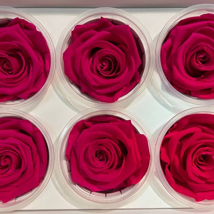 Dutch Flower Studio - Wholesale Artificial Flowers - 🌸 Preserved Roses - 13 colors - Decoration - Flowers - 6 cm3