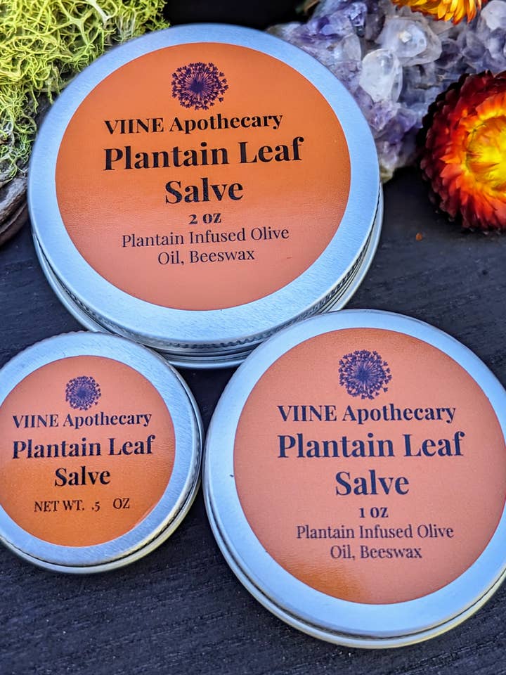 Plantain Infused Herbal Salve 1 oz // California Organic for wholesale by VIINE Apothecary
