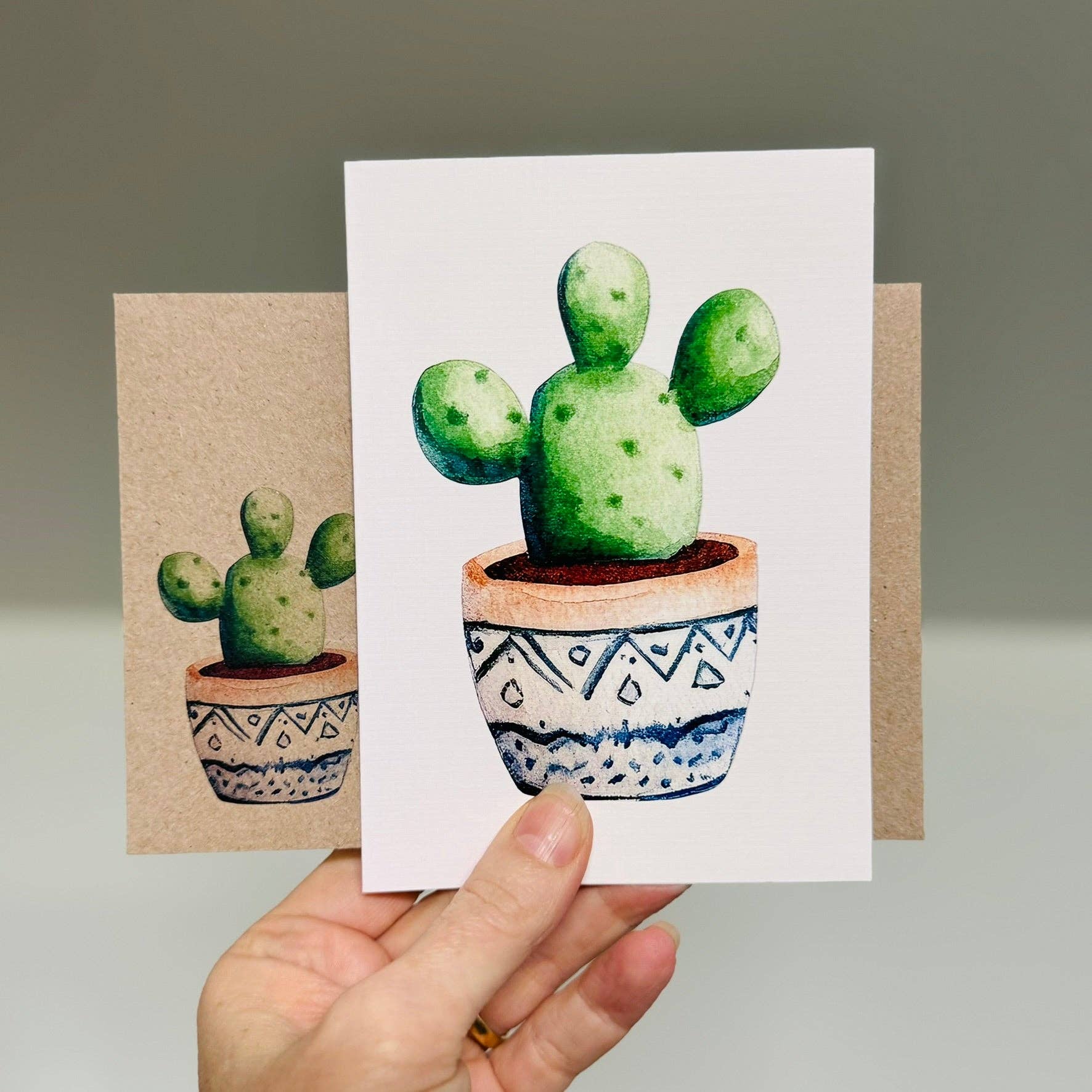 Scattered Seed Co - Wholesale Stationery/Notecard Set - SUCCULENTS whimsical greeting cards set of 44