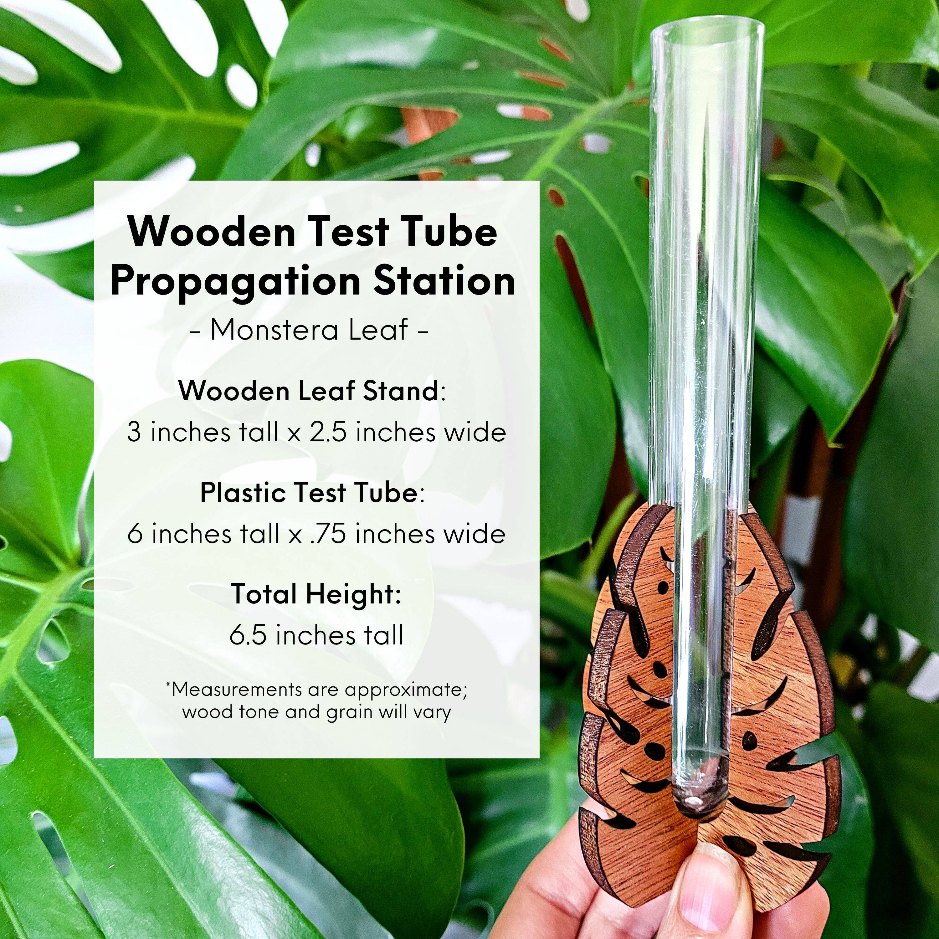 Leaf & Node - Wholesale Plant Pot - Test Tube Propagation Station - Monstera Test Tube Holder2