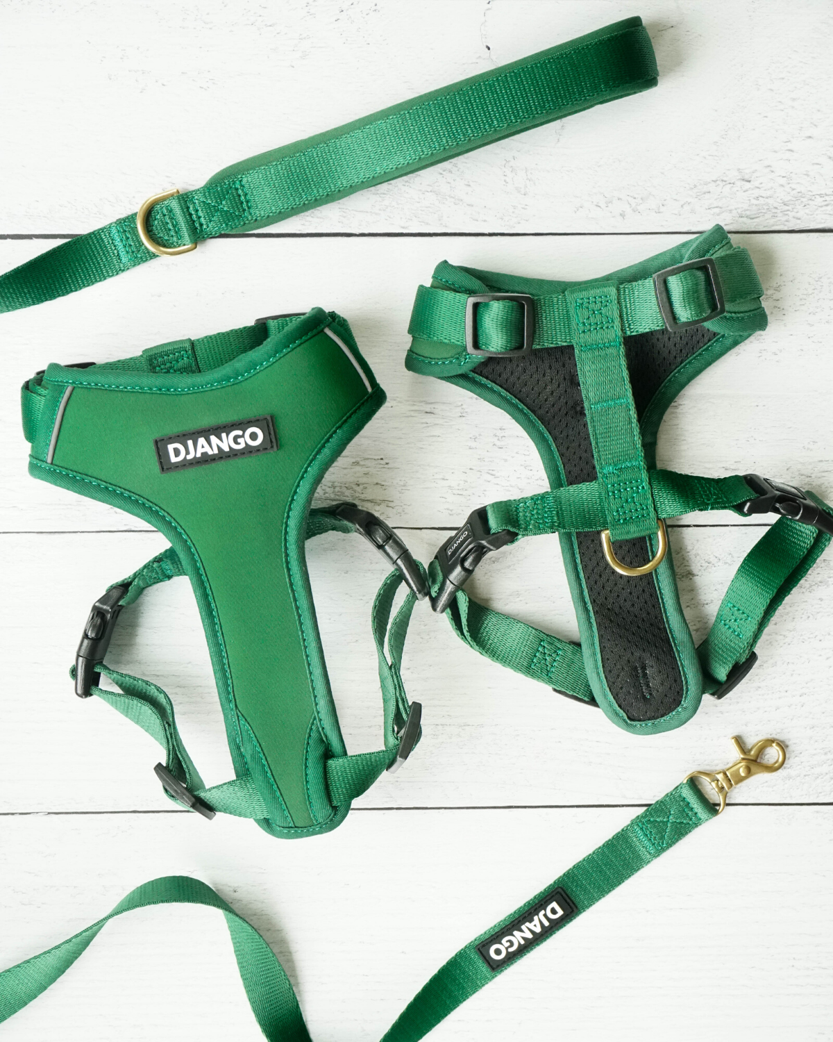 DJANGO - Wholesale Pet Harness - Dog - Adventure Dog Harness - Forest Green5
