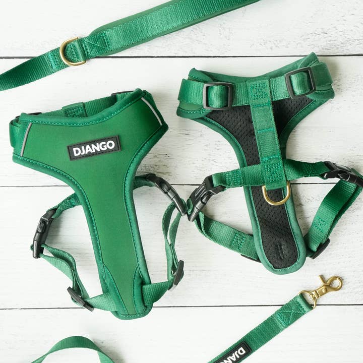 DJANGO - Wholesale Pet Harness - Dog - Adventure Dog Harness - Forest Green5