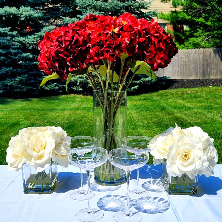Sister.ly Drinkware - Wholesale Cocktail/Liquor Glass - Rounded Coupe Cocktail Glasses, Set of 4