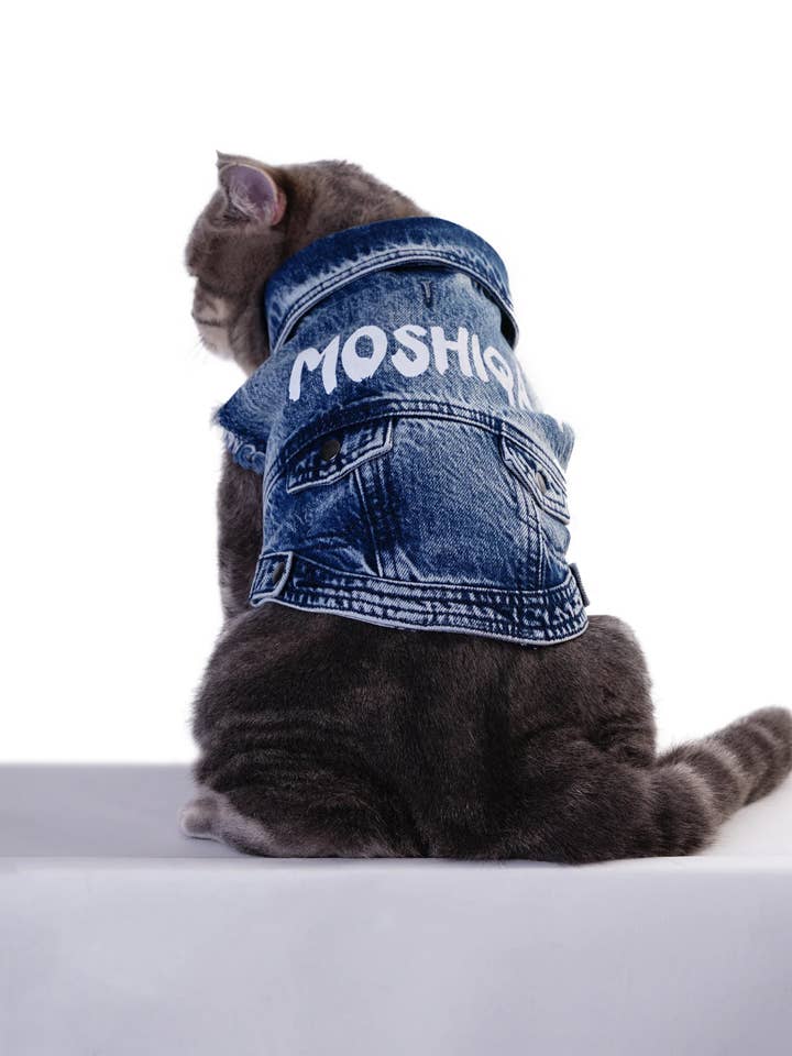 Moshiqa Denim Cat for wholesale by MOSHIQA
