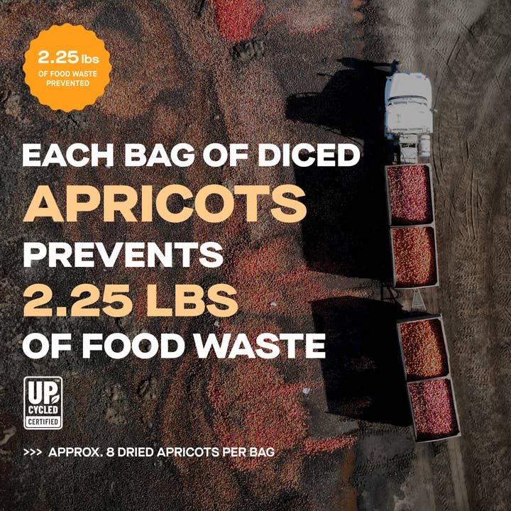 The Ugly Company - Wholesale Dried/Dehydrated Fruit - 4oz Dried and Diced Apricots3