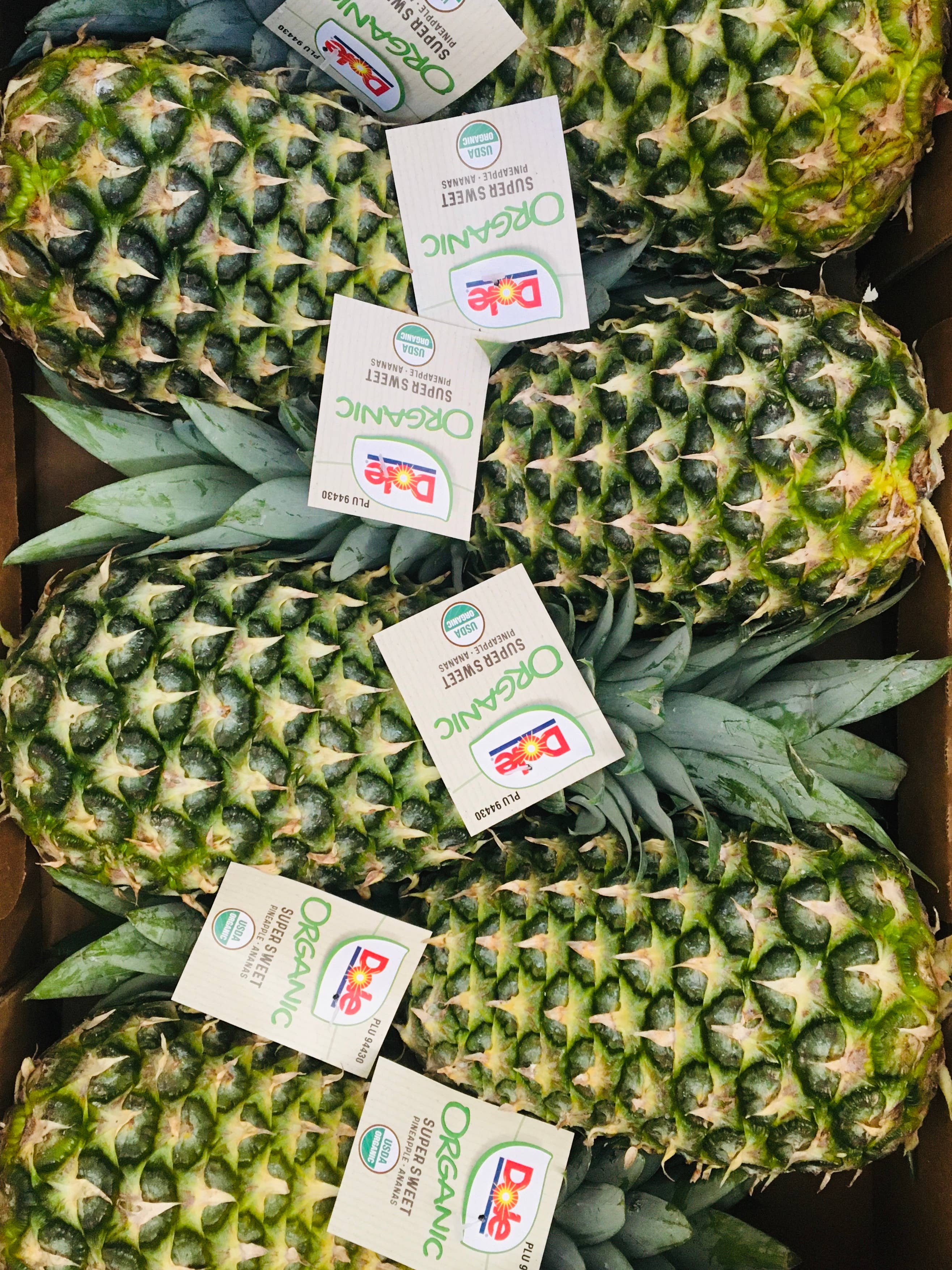 FreshDried – wholesale Dried/dehydrated fruit – Dried Pineapple Slices - organic4