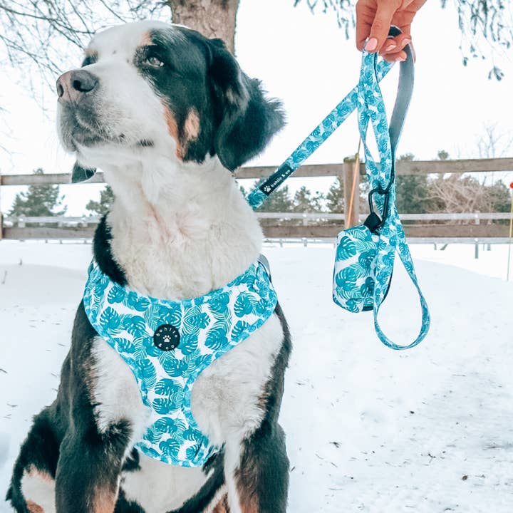 Tropical verstelbare hondentuigje voor wholesale door Bahlio & Co