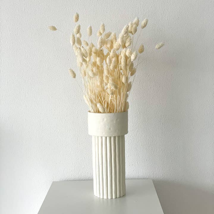 Phalaris – Canary Grass – Dried Flowers 60cm – Natural, White, Apricot, Pink, Red, Purple, Brown & more – Decorative Grass for Vases, Wreaths & DIY – Durable & Maintenance-Free and other Purchase Wholesale vasetti piante grasse. Free Returns & Net 60 Terms on Faire trending on Faire.