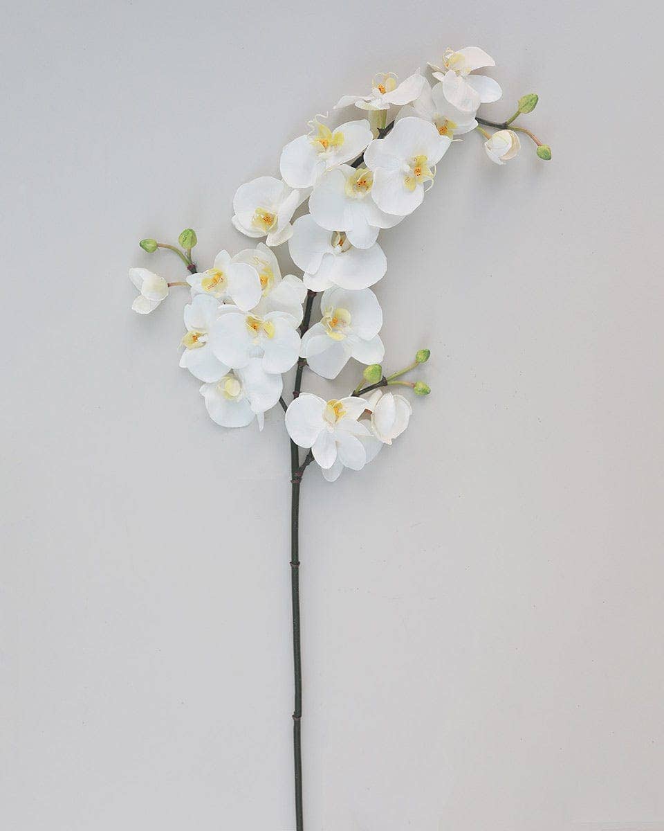 Prestige Botanicals - Wholesale Artificial flowers - White Flowering Phalaenopsis Orchid 34"4