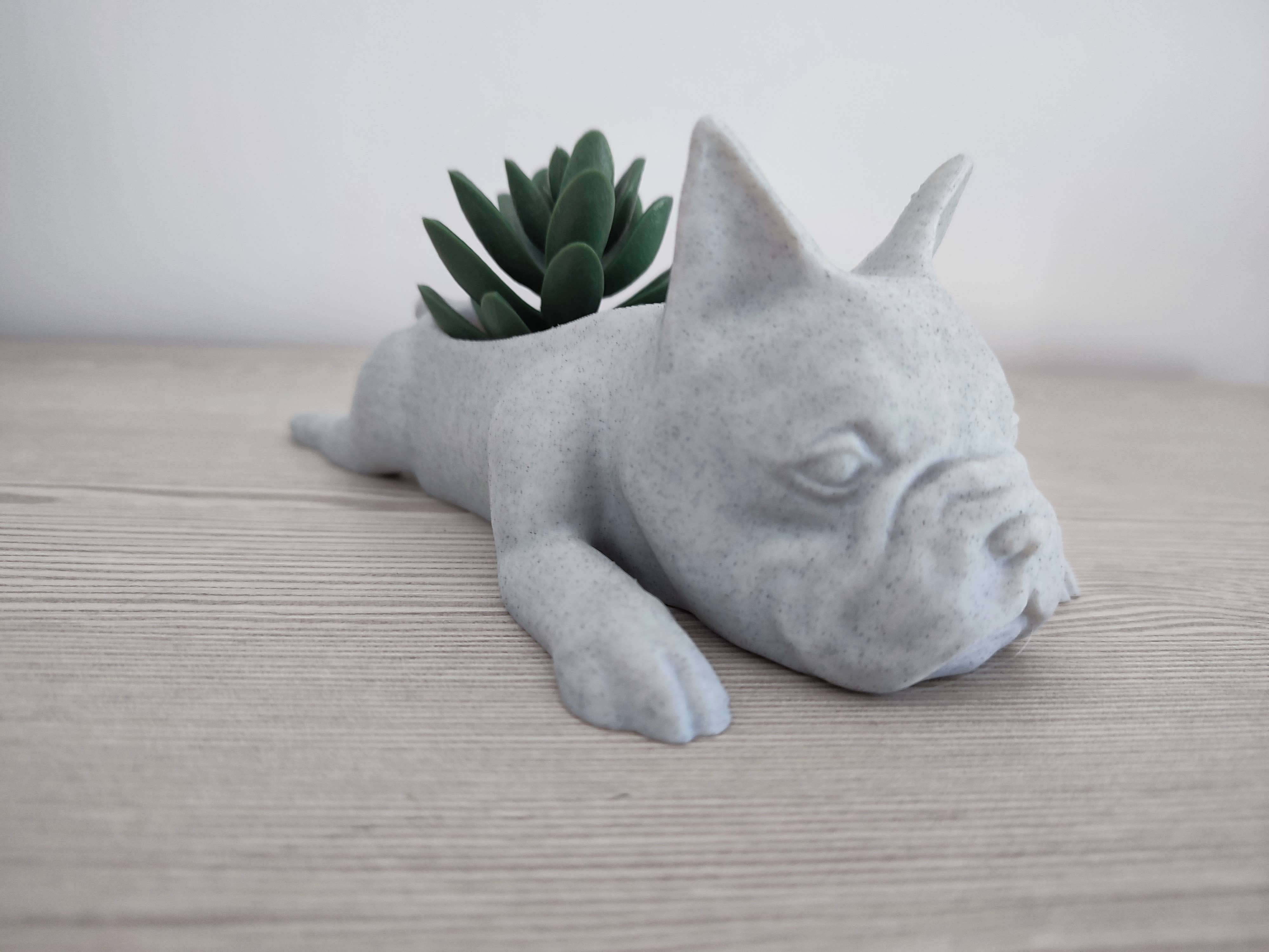 3DROOTS – Engroshandel Plantekrukke – Fransk Bulldog Krukke til Planter – boligindretning0