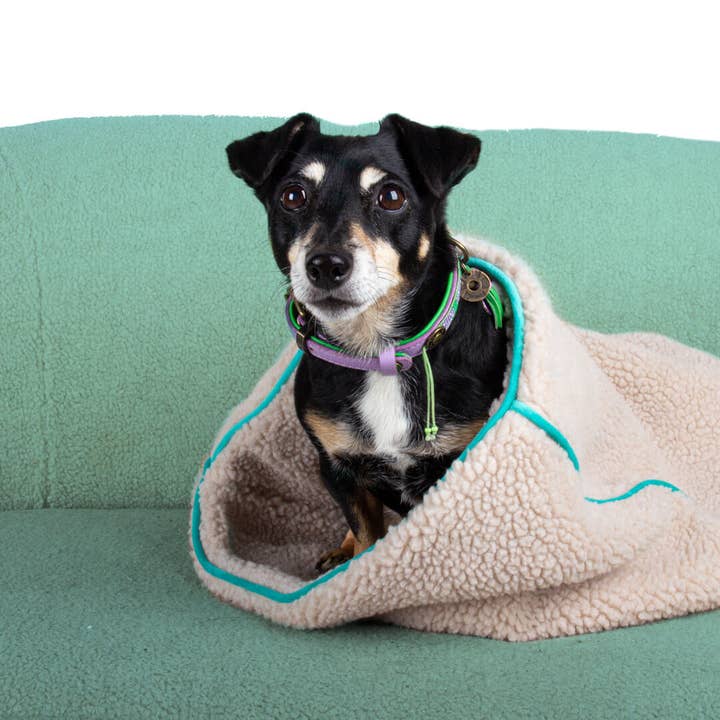 Sac de Couchage Rêve de Teddy Turquoise pour la vente par Dog with a Mission