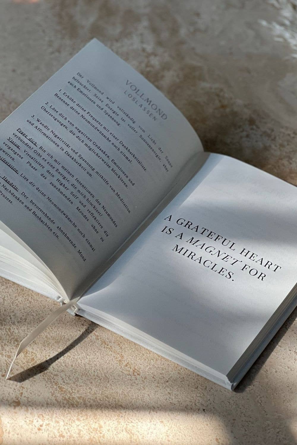 sand THE LIFE BARN Manifestation Journal English for wholesale on Faire6