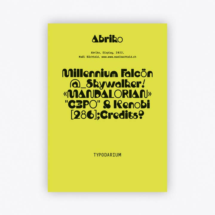 Verlag Hermann Schmidt – Calendário por atacado – Typodarium 2023 - Calendário tipográfico de 365 dias36