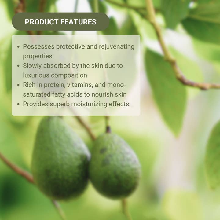 Nature Packaged – Engroshandel Bad/Kropsolie – Avocadobærerolie - 100% ren - Farm-Direct Sourcing4