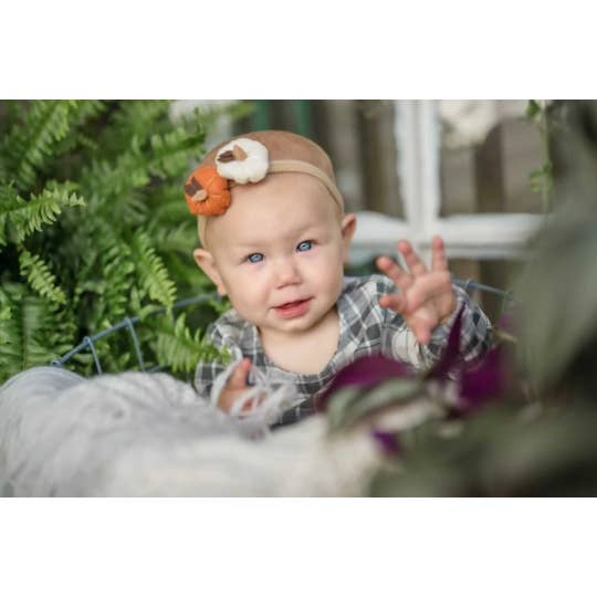 Diadema de calabaza, pinza de pelo de calabaza, calabazas de fieltro para venta al por mayor de Remi Rae’s LLC