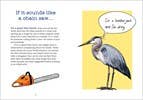 Hachette Book Group - Wholesale Humor - Bird Talk: Hilariously Accurate Ways to Identify Birds1