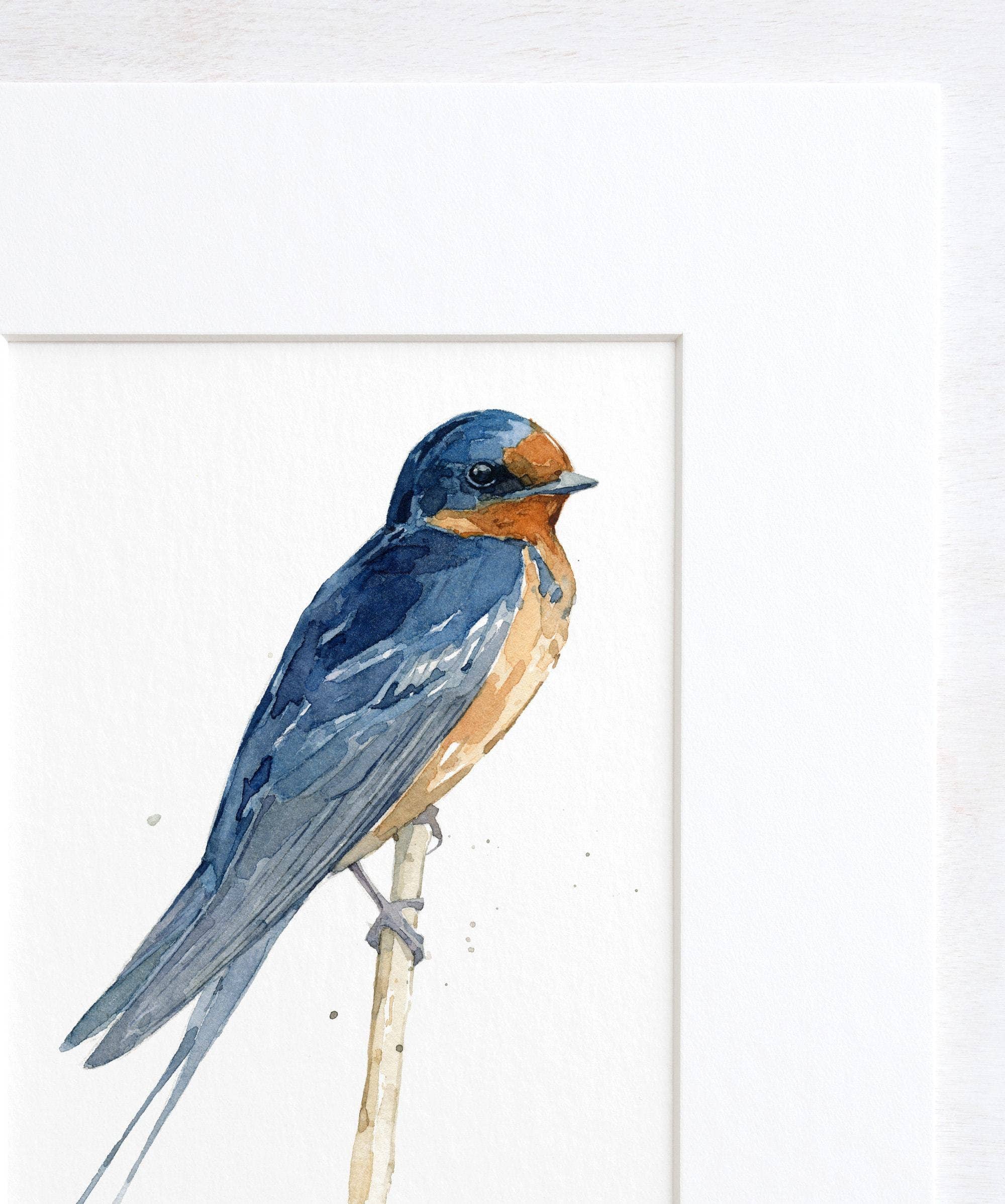 Studio Tuesday - Wholesale Kunstprint - Barn Swallow Aquarel Print, Vogel Schilderij1