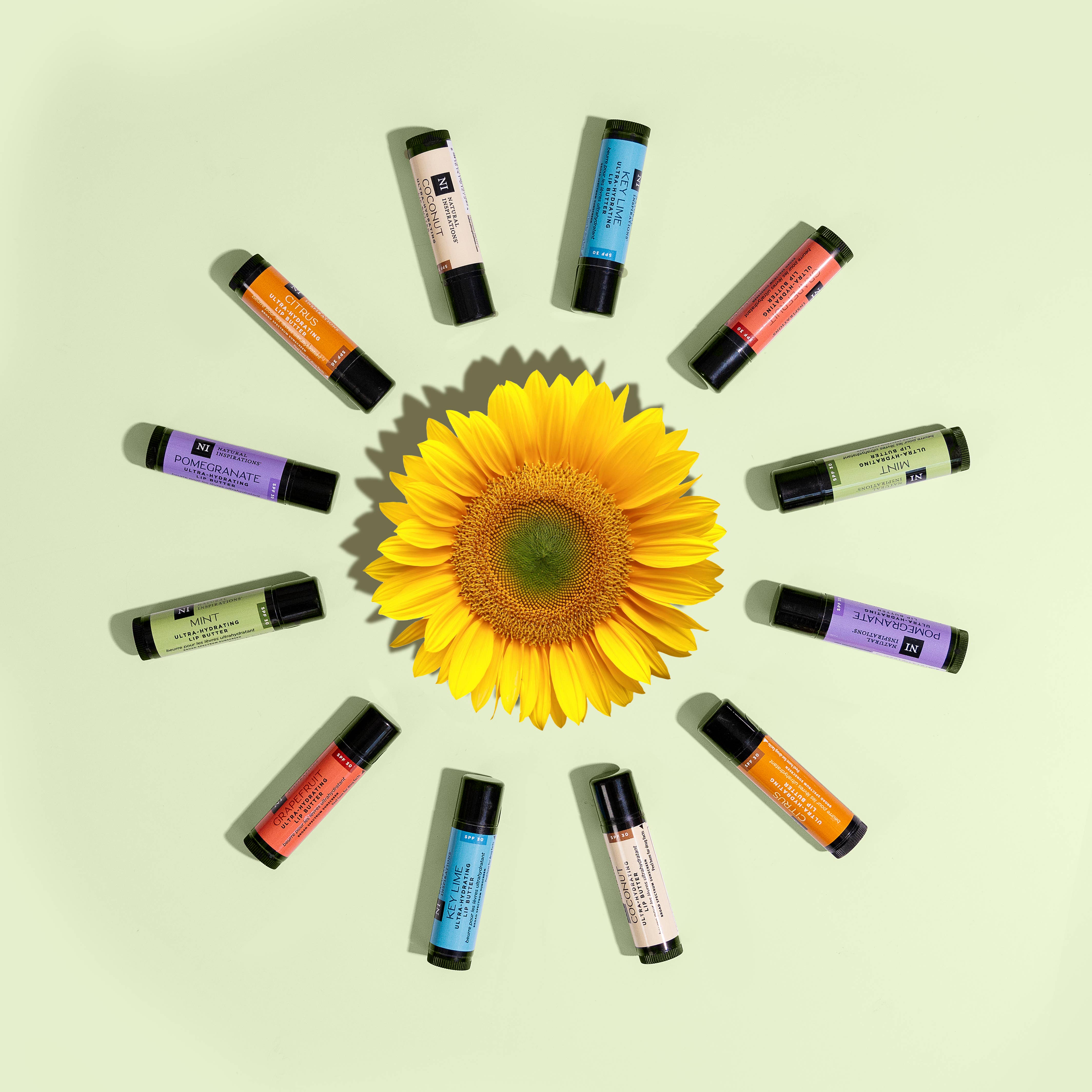 Natural Inspirations - Wholesale Lip Balm - SPF 30 Lip Butter/Lip Balm Refill - Coconut3