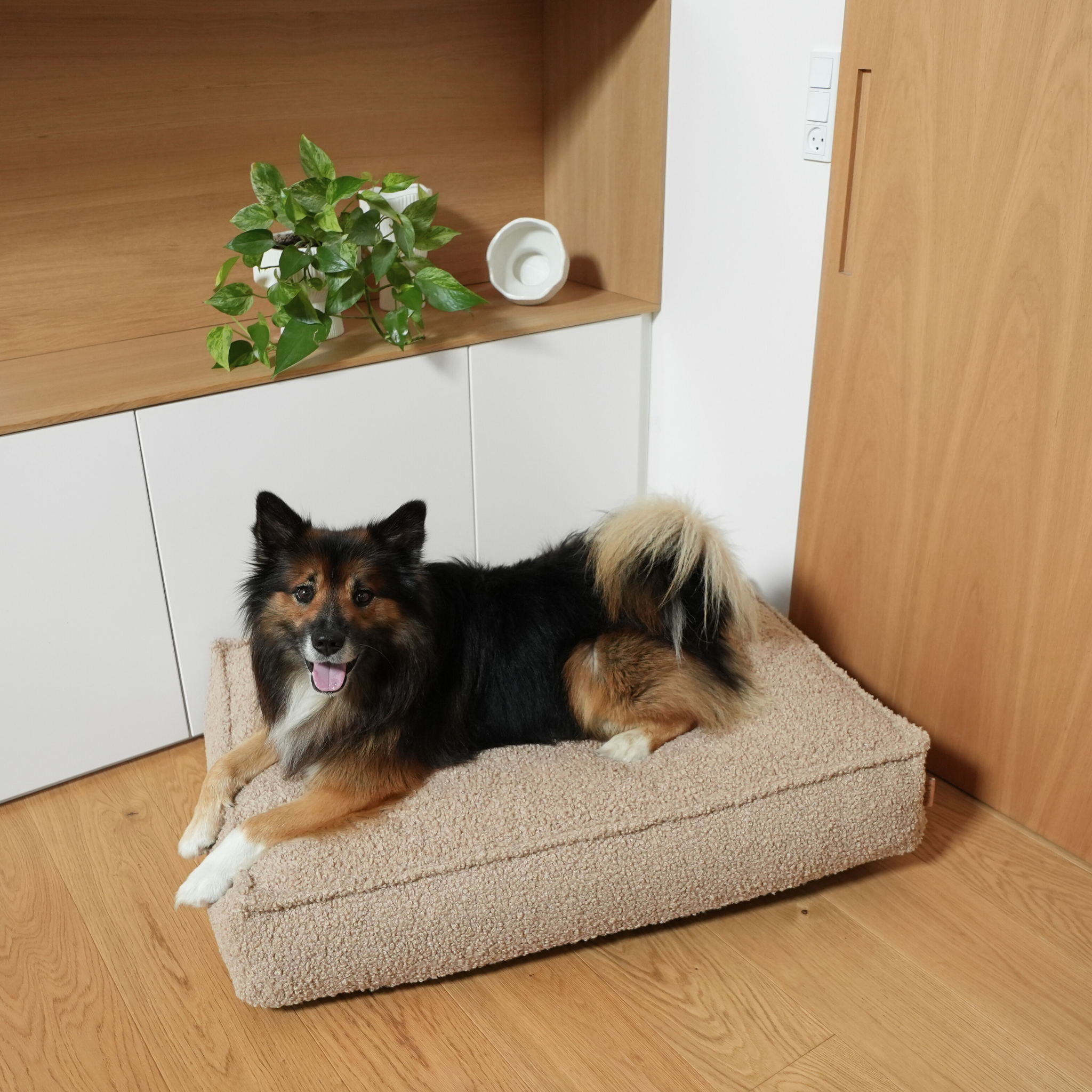 Staey - Wholesale Pet Bed - Dog - Noor Dog Cushion | Sand Curly4