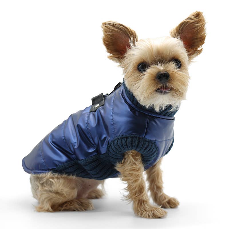 Dogo Pet - Wholesale Pet Coat - Dog - Runner Coat Metallic Blue7