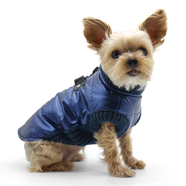 Dogo Pet - Wholesale Pet Coat - Dog - Runner Coat Metallic Blue7
