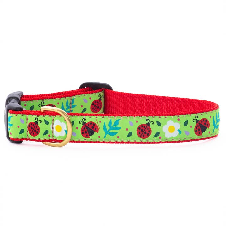 Ladybugs Dog Collar for wholesale by Up Country, Inc.