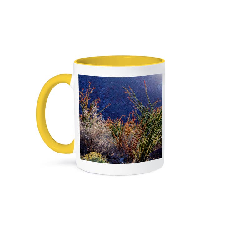 3dRose - Wholesale Coffee Mug - 3dRose, California, blooming Ocotillos and Brittlebush wildflowers, Mug