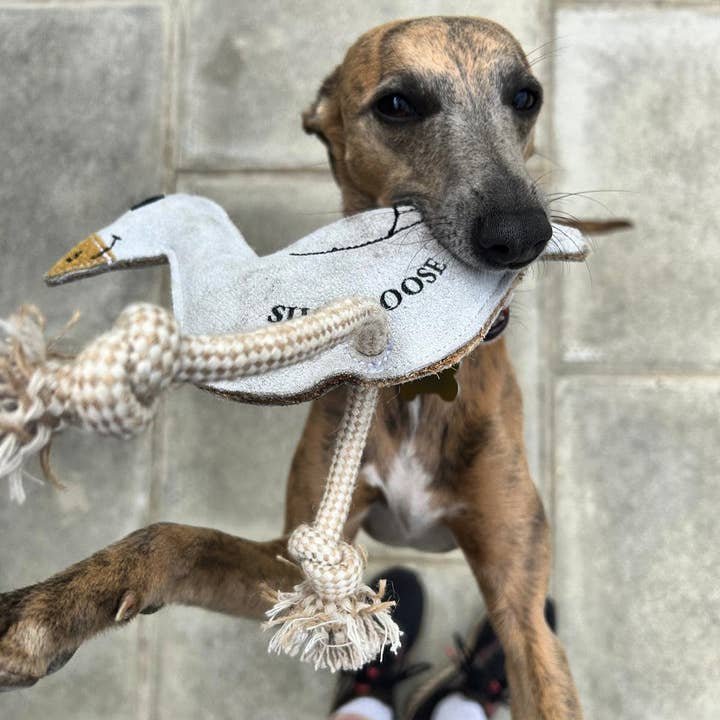 Cub – wholesale Pet rope toy – Dog – Silly Goose Eco Dog Toy1