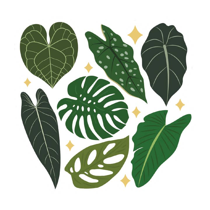 Houseplant Leaves 3" Waterproof Sticker for wholesale by Sage & Oak