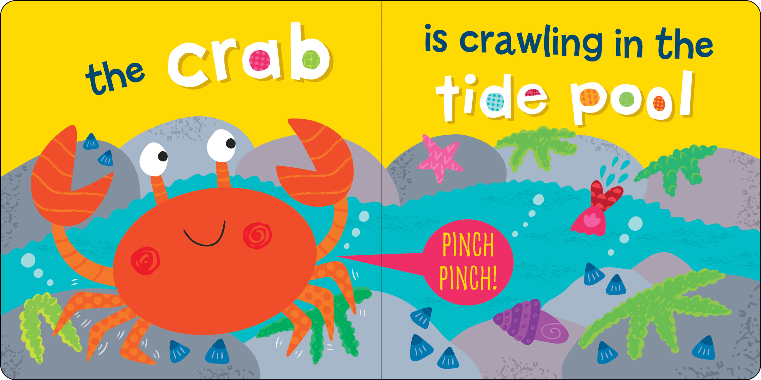 Peter Pauper Press - Wholesale Baby & Toddler Book (0-2) - Who is in the Ocean? Board Book3