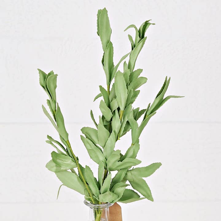 30636- 16in Pick-PE Herb Leaves-Green for wholesale by Impressive Enterprises, Inc.