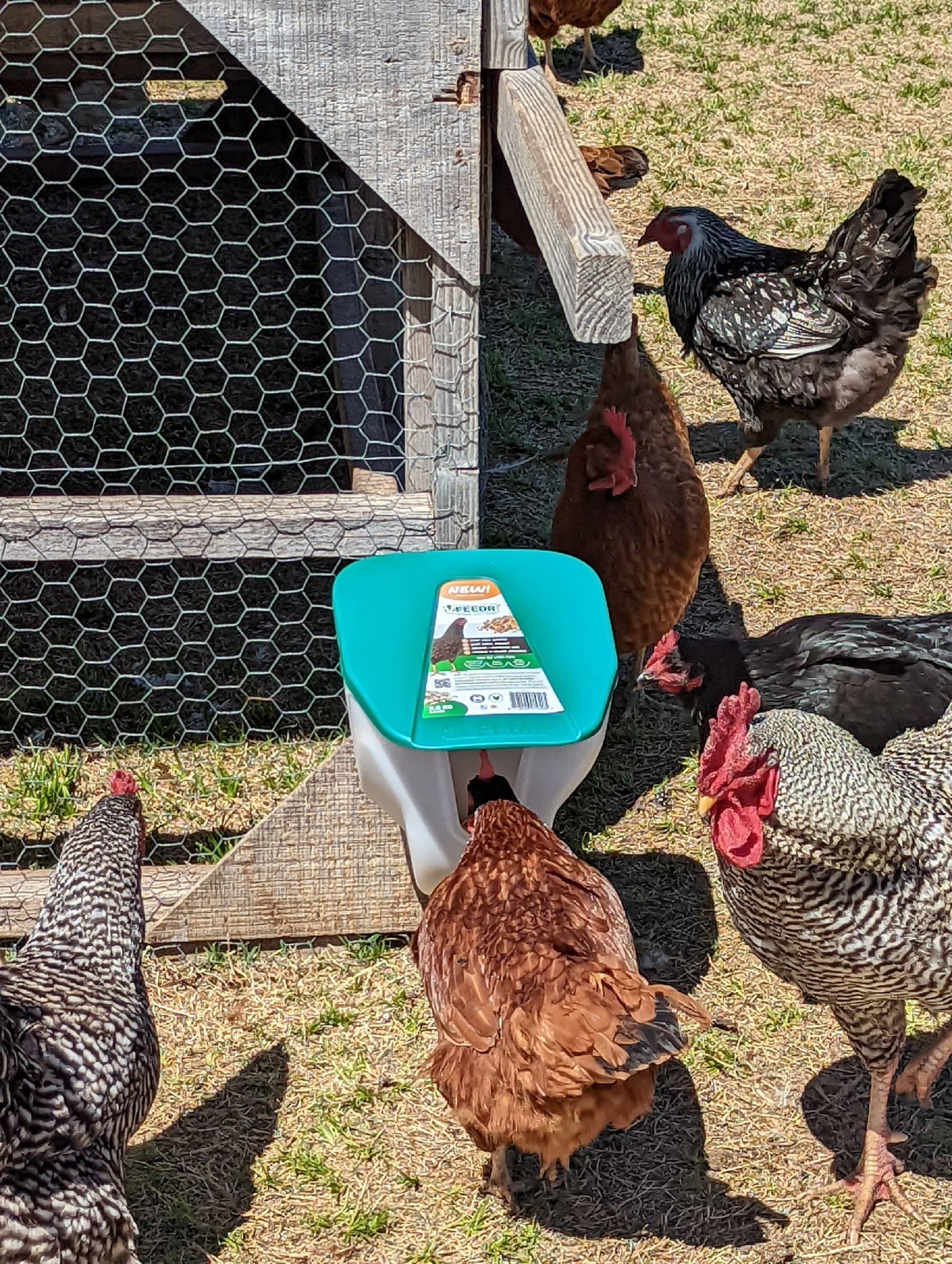 My Favorite Chicken – wholesale Pet bowl – Cat/dog – Chicken VFeedr No Waste Hanging Poultry Feeder 5-lbs6