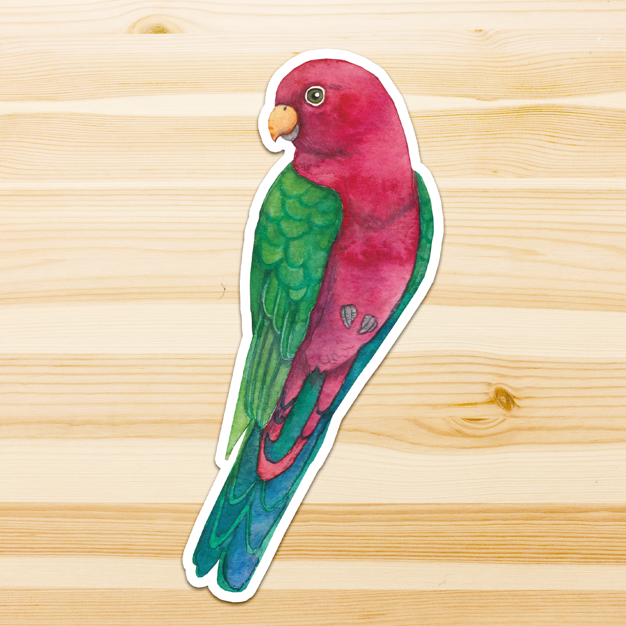 Watercolour By Cat - Vendita all'ingrosso Adesivo - Adesivo in vinile con grande uccello australiano17