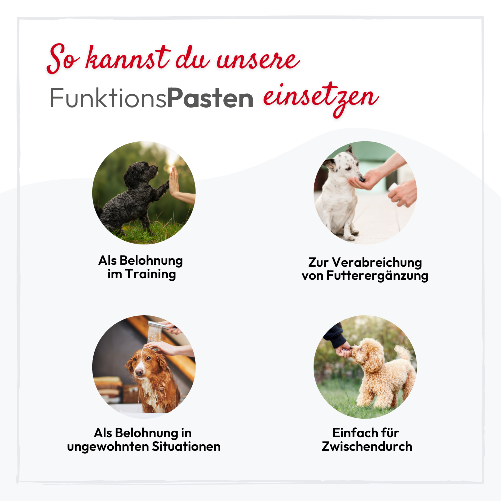 Kauartikel.com GmbH - Wholesale Pet Supplement - Dog - PHA calming paste for dogs 100ml (5 pieces)2