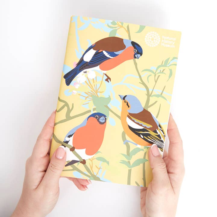 West Design Products UK - Wholesale Sketchbook/Sketchpad - Natural History Museum A5 Sketchbooks, 3 Pack British Birds