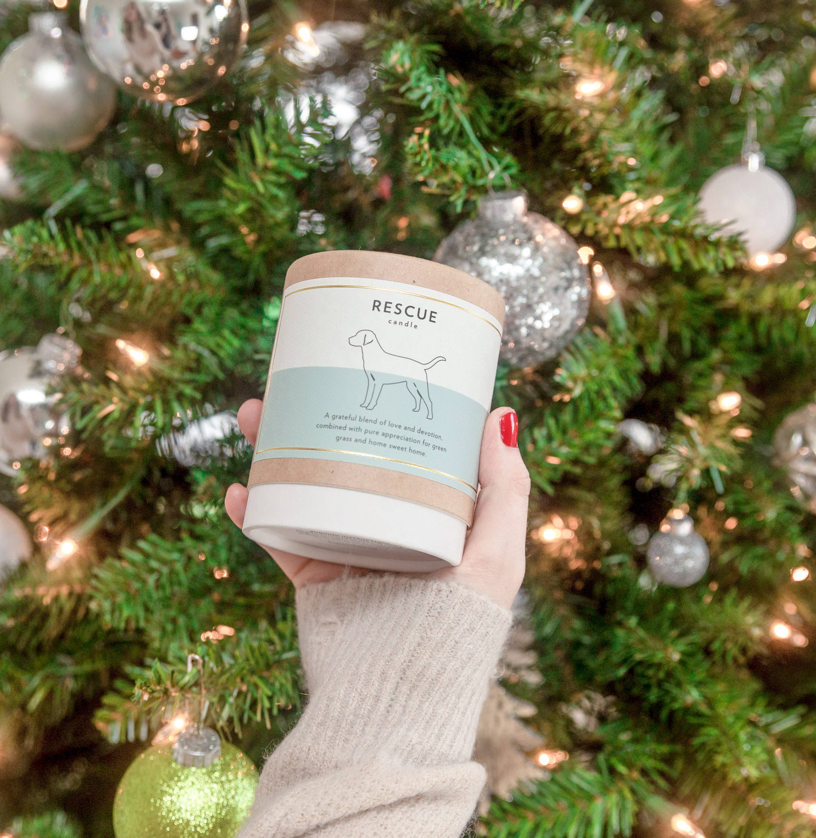 Scripted Fragrance - Wholesale Jar/Filled Candle - Rescue Dog Soy Candle in Drinking Glass Two-In-One Gift6