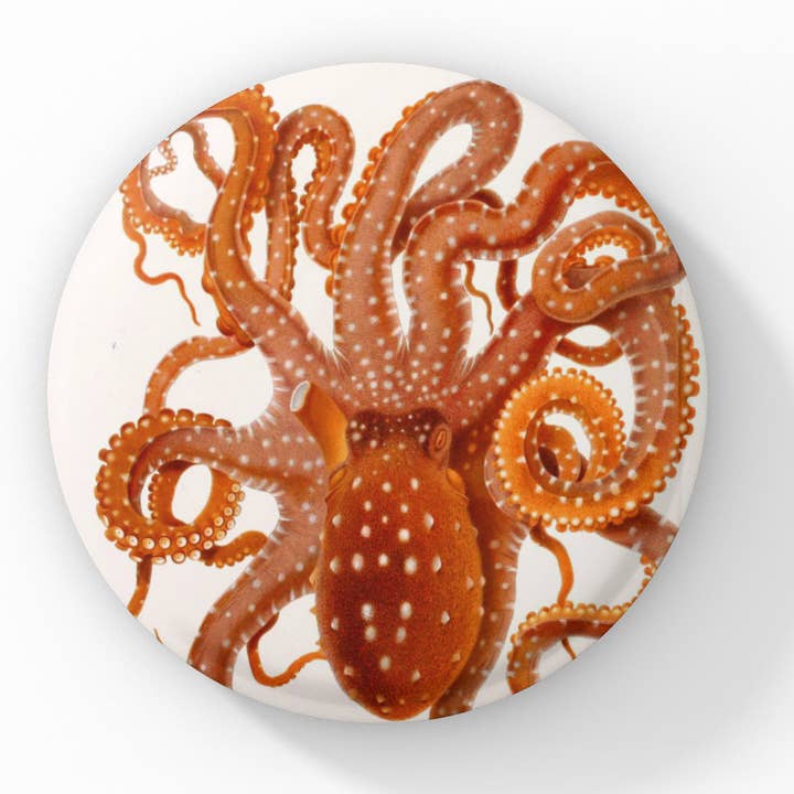 Octopus Pin Button, Octopus Keychain, Octopus Magnet for wholesale by NatureCuts