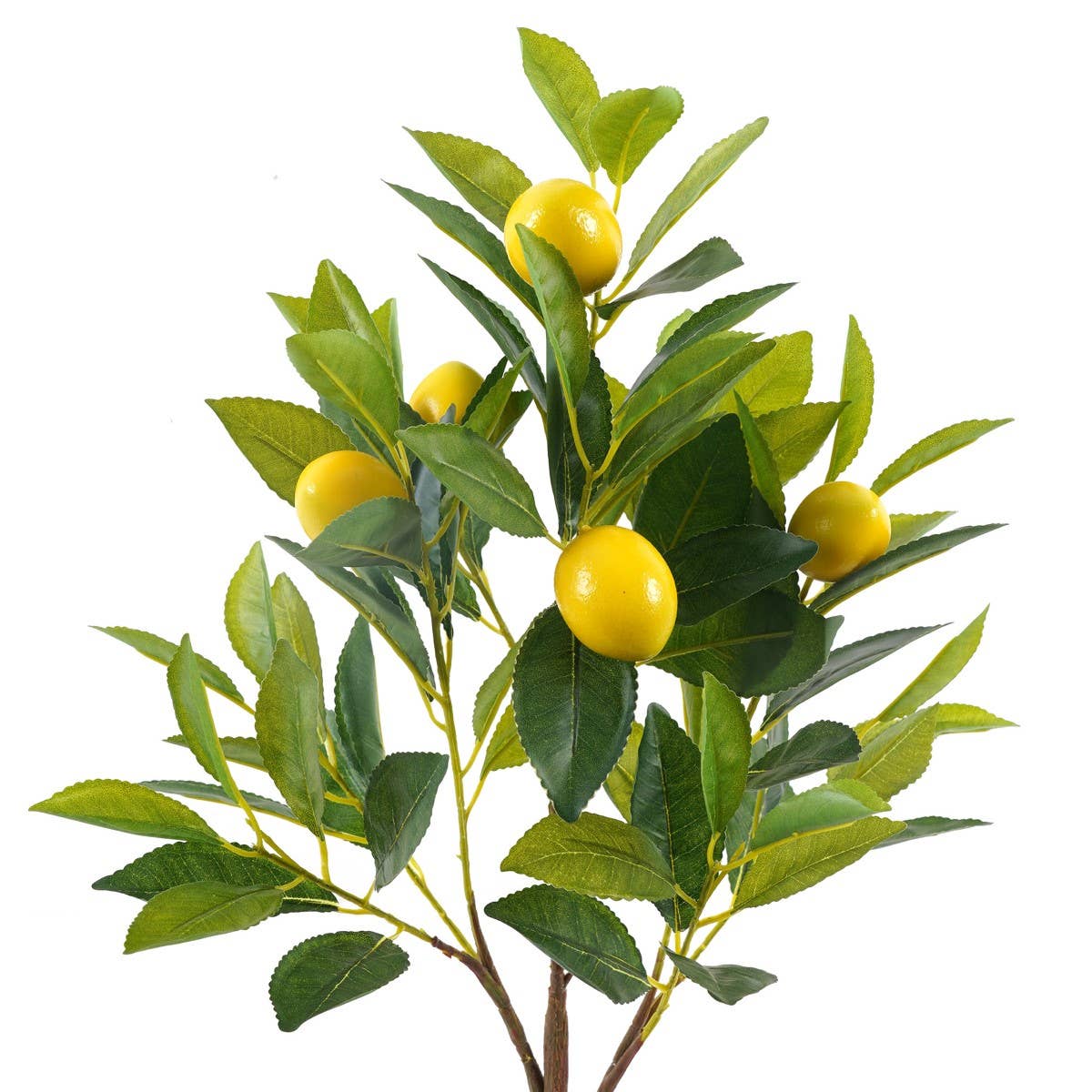 Signes Grimalt - Wholesale Artificial plant - Signes Grimalt Plant 362221