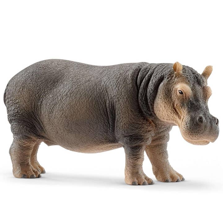 Schleich - Wholesale Figurine Toy - Kids - Hippopotamus Safari Animal Toy