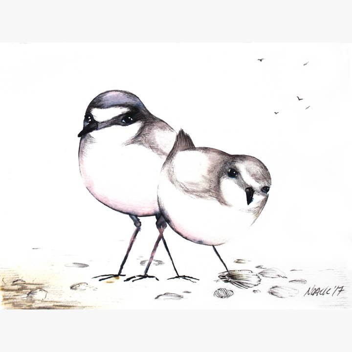 Vadefugle por atacado de Løfberg og Noack