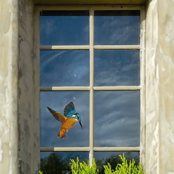 MYRTE - Wholesale Wall Decal/Stickers - Kingfisher Double-sided Window Sticker