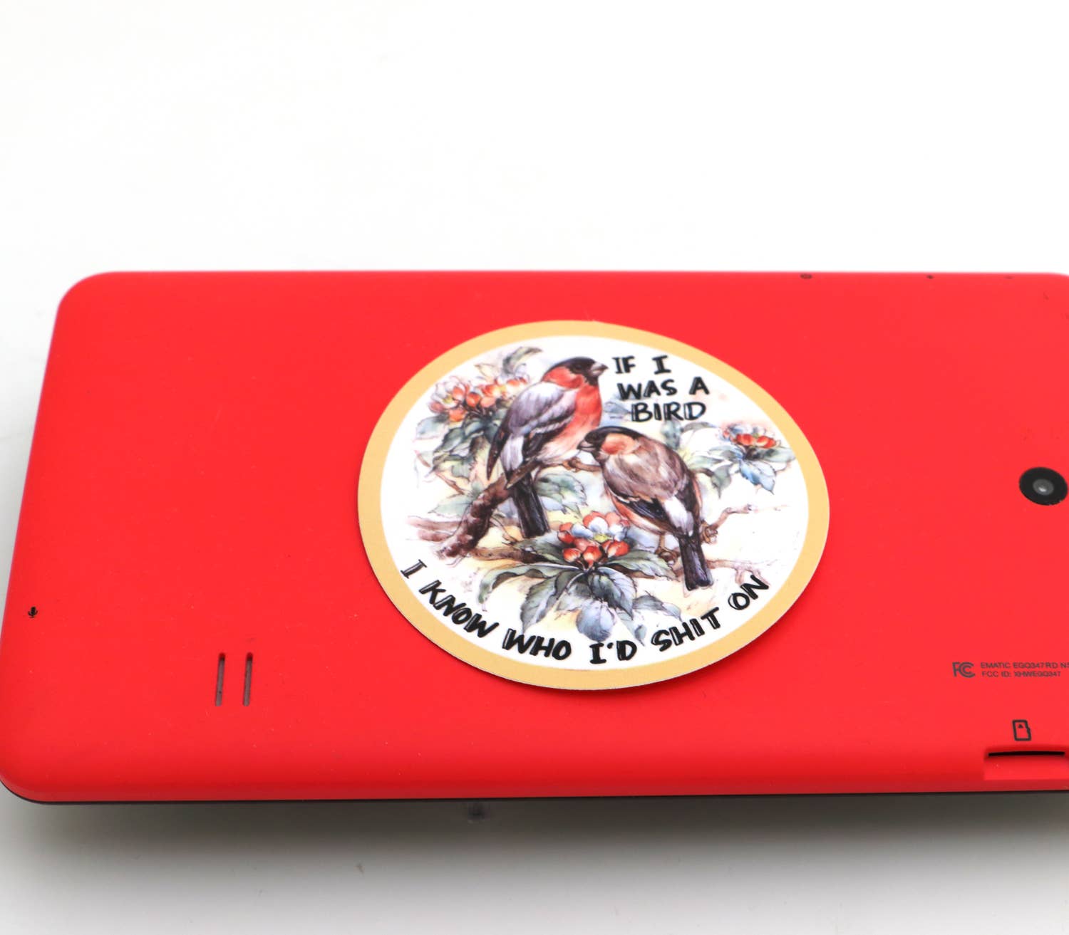 Lenny Mud - Wholesale Sticker - If I Was a Bird sticker, 3 x 3 sticker3