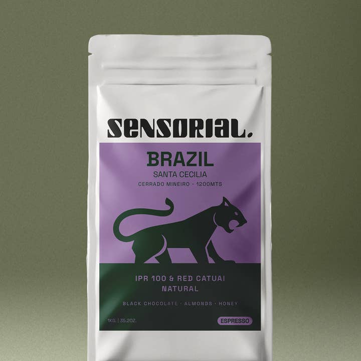 Spezialitätenkaffee aus Brasilien | IPR 100 & Roter Catuai | 1 KG für den Großhandel von Sensorial Coffee Roasters